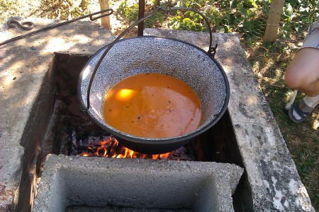 Itt még főtt javásban...